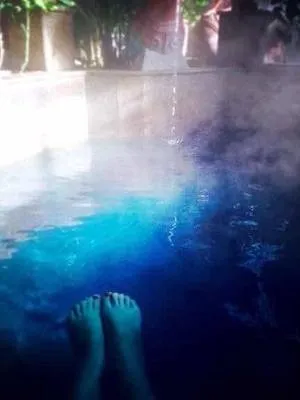 guest photo