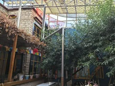 guest photo