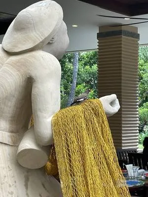 guest photo