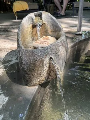 guest photo