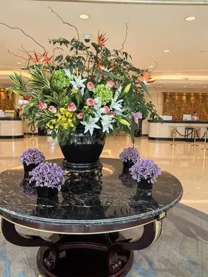 guest photo