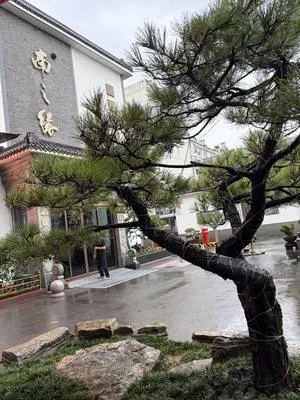 guest photo