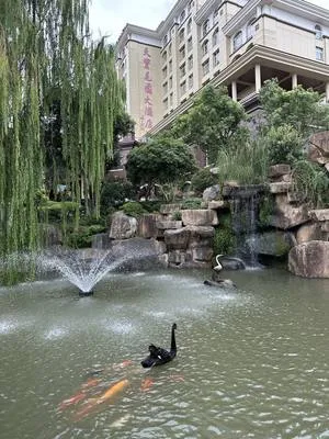 guest photo