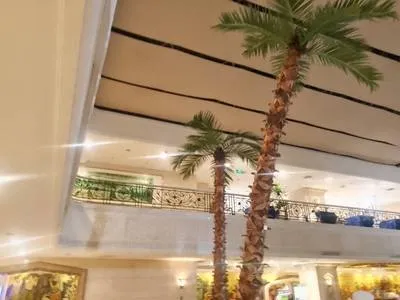 guest photo
