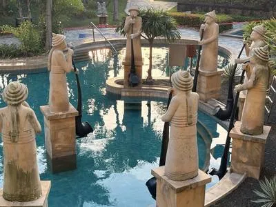guest photo