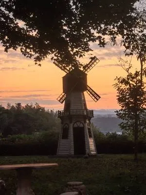 guest photo