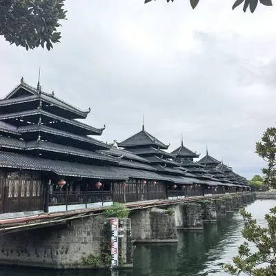 guest photo
