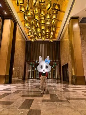 guest photo