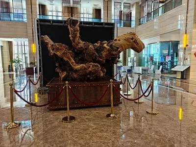 guest photo