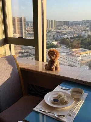 guest photo
