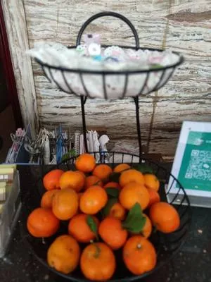 guest photo
