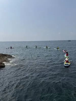 guest photo