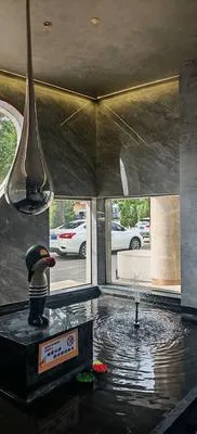 guest photo