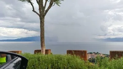 guest photo