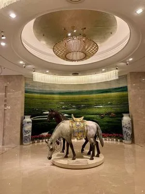 guest photo