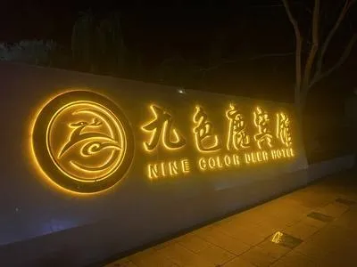 guest photo
