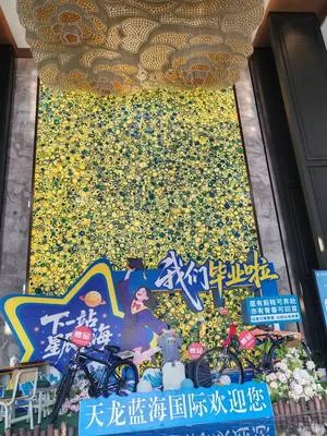 guest photo
