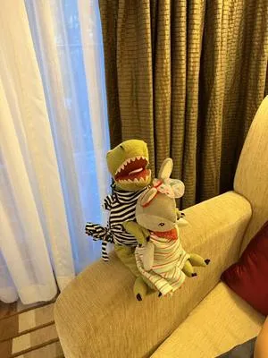 guest photo