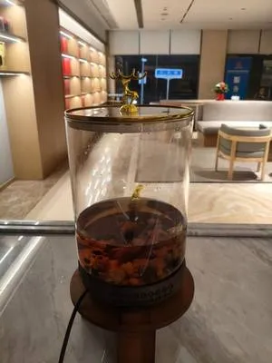 guest photo