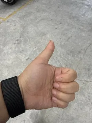 guest photo
