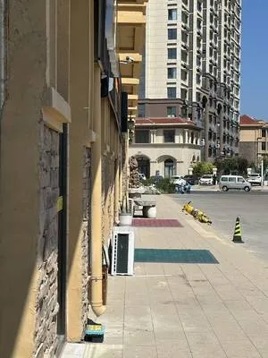 guest photo