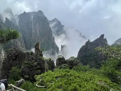 guest photo