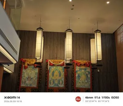 guest photo