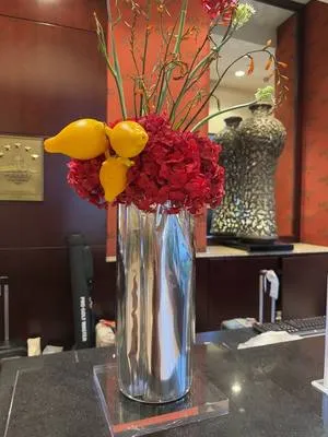guest photo