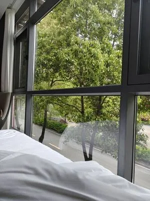 guest photo