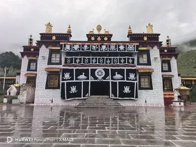guest photo