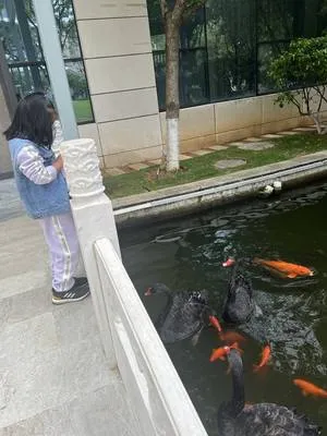 guest photo