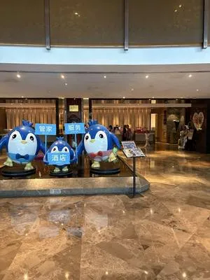 guest photo
