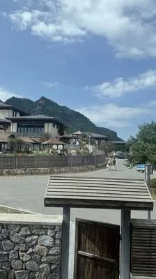 guest photo