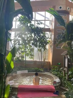 guest photo