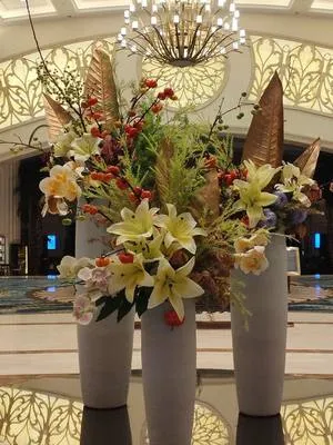 guest photo