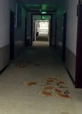 guest photo