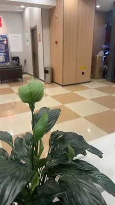 guest photo
