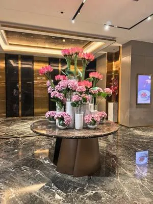 guest photo