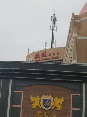 guest photo