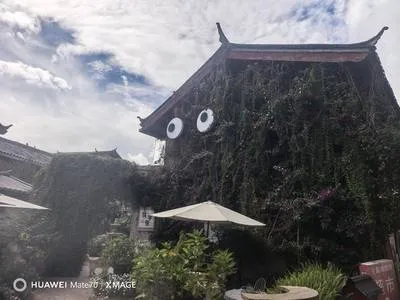 guest photo