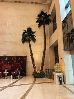 guest photo