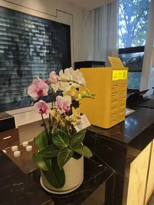 guest photo