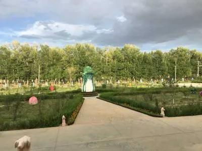 guest photo