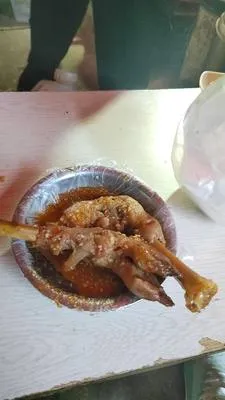 guest photo