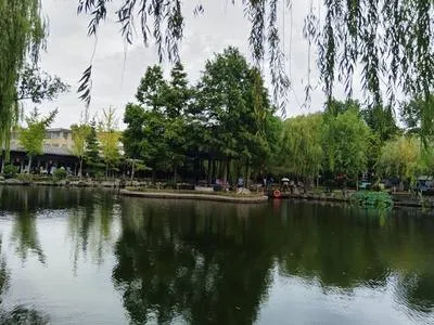 guest photo