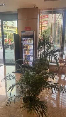 guest photo