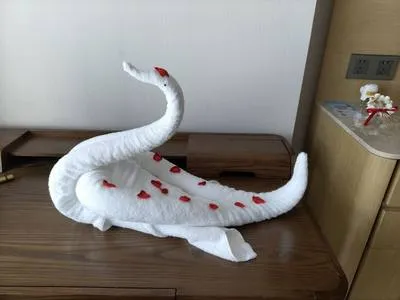 guest photo