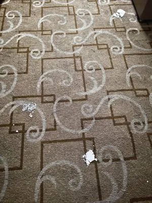 guest photo