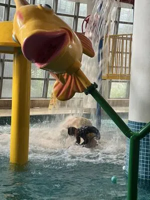 guest photo