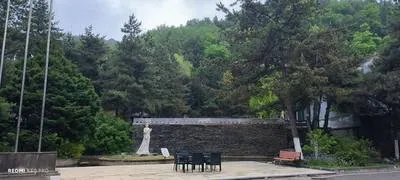guest photo